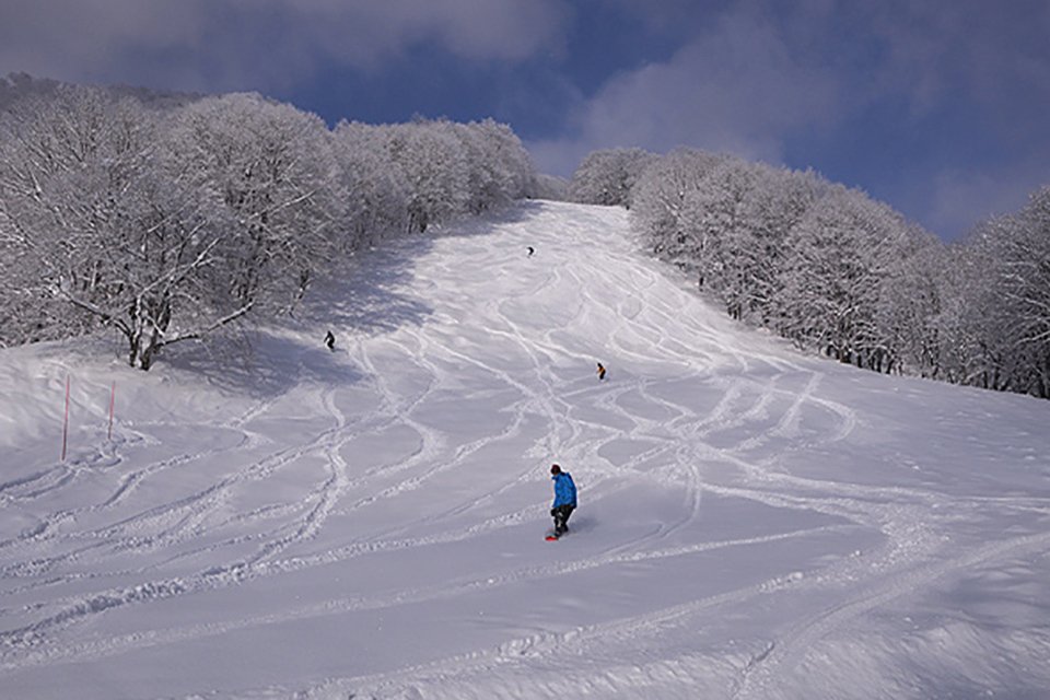 ⛷️ 아카쿠라 관광 리조트 스키장(아카쿠라 칸코 리조토 스키조) 이미지 8